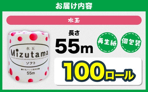 トイレットペーパー 水玉 55ｍ×100個【福岡市】