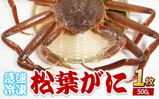 松葉がに（冷凍） 約500g 1枚｜鳥取 岩美 かに 松葉ガニ 冷凍 生 プロトン凍結 急速冷凍 年内発送【22047】