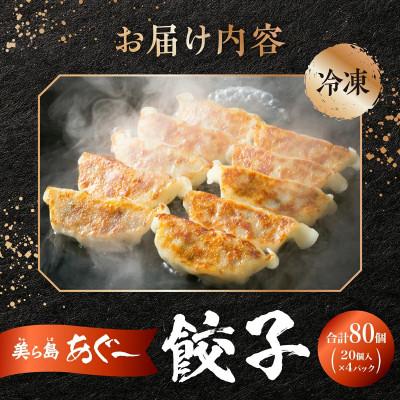 ふるさと納税 南城市 【美ら島あぐー】餃子(80個入り/4パック×20個入り) |  | 03