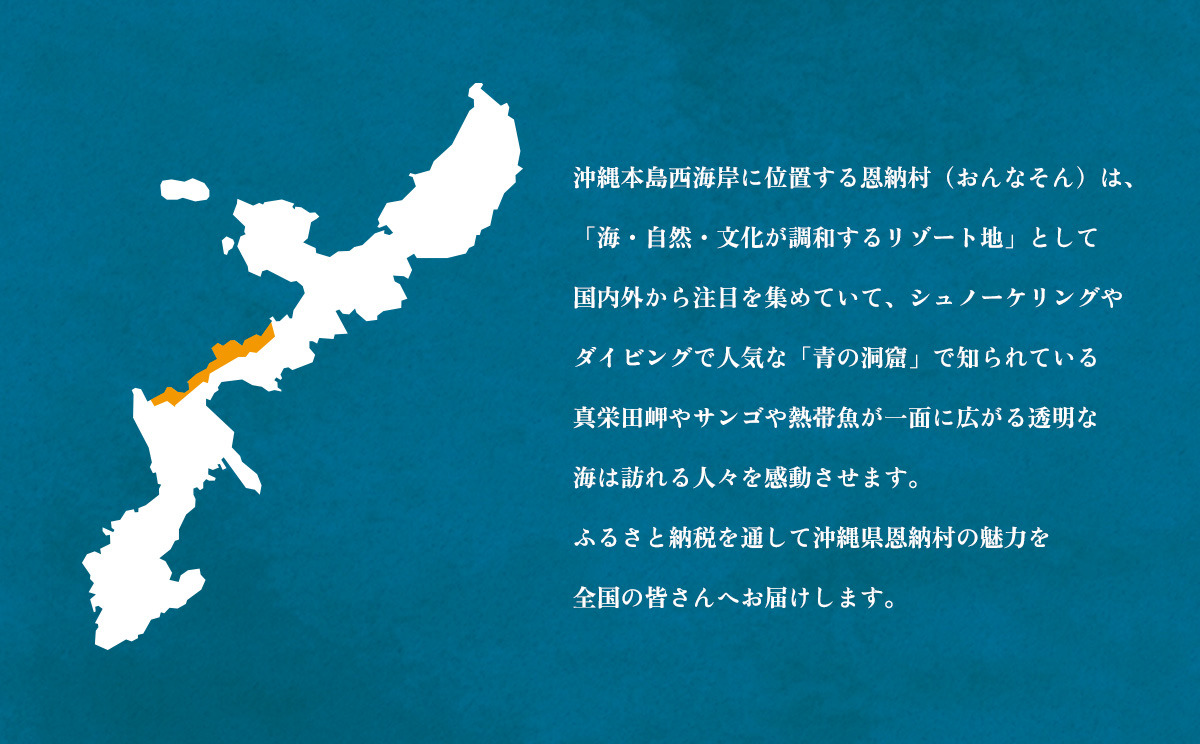 【恩納村ラグーン】ボートシュノーケル 1名様