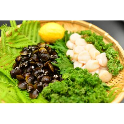 ふるさと納税 網走市 【毎月定期便】網走自慢の海鮮グルメ定期便 うまいもの祭りをお届け致します全5回