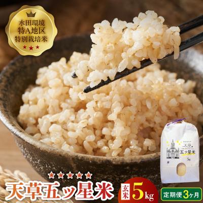 ふるさと納税 天草市 【3ヶ月定期便】【先行受付】天草五ッ星米 玄米 5kg_S061-T07A