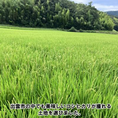 ふるさと納税 出雲市 特別栽培米　出雲市産コシヒカリ　10 kg【2_2-014】 |  | 01