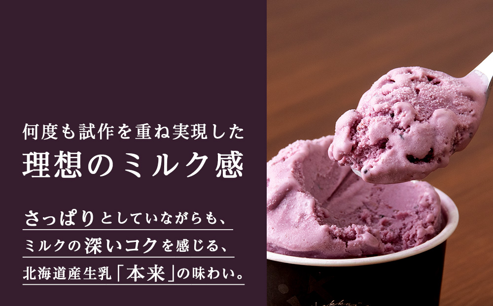 【定期便12ヶ月】リッチアイスクリーム 手摘みカシスとクリームチーズ　10個セット（100ml）