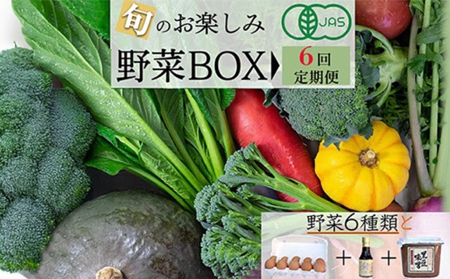 
                  【6回定期便】＜京都・矢田の里＞産地直送！有機JAS認定 京野菜・農家のこだわり野菜・新鮮卵など お楽しみセット 隔月6回お届け≪オーガニック 栽培期間中農薬・化学肥料不使用≫
                
