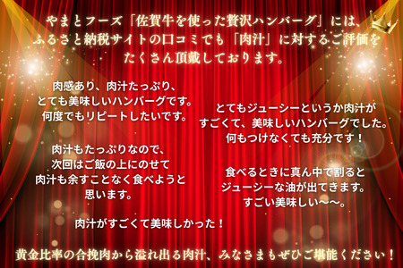 佐賀牛を使った贅沢ハンバーグ13個 簡単 調理 惣菜 冷凍 佐賀牛 佐賀県産豚 焼くだけ 人気 牧場直営ハンバーグ 佐賀県 佐賀市 高評価 ハンバーグ インフルエンサー紹介返礼品 ブランド牛ハンバーグ