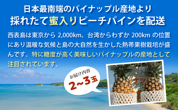 【2026年発送】リピータ続出！西表パイン園の蜜入り ピーチパイン 2kgセット