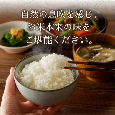 ふるさと納税 焼津市 令和7年産 農薬7割減 特別栽培 きぬむすめ 白米5kg(a15-699) |  | 02