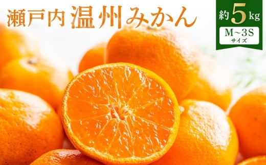 【先行予約】瀬戸内温州みかん　小粒サイズ　約5kg【2026年10月中旬～2027年1月下旬配送】｜柑橘 みかん 温州みかん ミカン 小粒みかん 蜜柑 小玉 箱 甘い 果物 くだもの フルーツ 香川 高松市 人気 おすすめ