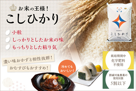 【定期便】【令和7年産】弥栄町産特別栽培米「秘境奥島根弥栄」こしひかり6kg（6回コース） 米 お米 特別栽培米 こしひかり 精米 白米 ごはん 定期 定期便 6回 お取り寄せ 特産 応援 準備 【0
