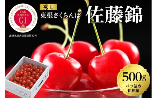 2026年 GI東根さくらんぼ「佐藤錦」500gバラ詰め 秀品 Lサイズ 東根農産センター提供 山形県 東根市 hi027-220