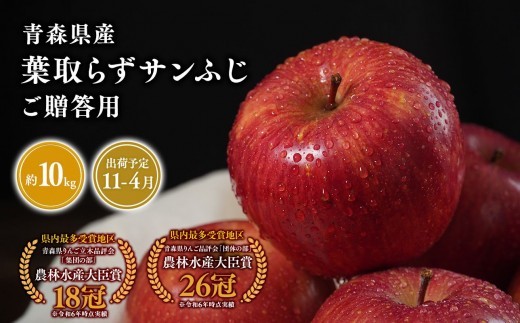
                  2026年産≪選べる発送月≫ １１月～４月発送　贈答用葉とらずサンふじ10kg【青森県 平川市 そと川りんご園】１１月～４月発送 贈答 青森 青森県産 平川 葉とらず サンふじ ふじ りんご リンゴ 林檎 くだもの 果物 フルーツ 
                