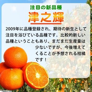 津之輝(つのかがやき)　5kg【日高町】【1217232】