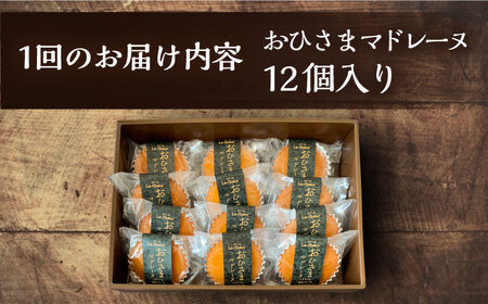 【全6回定期便】おひさまマドレーヌ12個入り《豊前市》【菓子工房ルクール】お菓子 菓子 詰め合わせ 洋菓子おひさまマドレーヌ12個入り[VBI022] 菓子 お菓子 スイーツ 菓子 甘い菓子 菓子 お