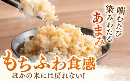 【特別栽培米】令和7年産 さがびより 玄米 10kg 【ももさき農産】 [HCG005]特A 