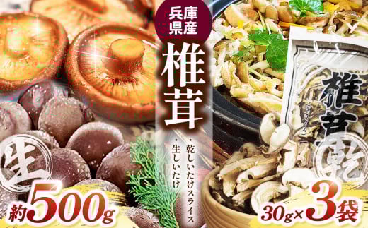 生椎茸「しいたけ小町」500gと乾しいたけ(ｽﾗｲｽ)3袋ｾｯﾄ | 兵庫県 上郡町 兵庫県産 しいたけ 椎茸 きのこ 茸 