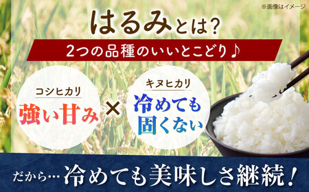 【白米】はるみ米 10kg 白米 [BDBB003]