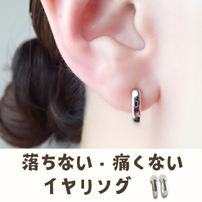 【ふるさと納税】Degodd デゴッド　落ちないイヤリング　SVプレーン　小さいイヤリング　シンプル　仕事用　アクセサリー