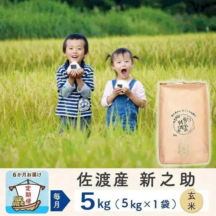 【定期便 6回 新米】玄米 5kg 計30キロ | 新之助 新潟県 佐渡市