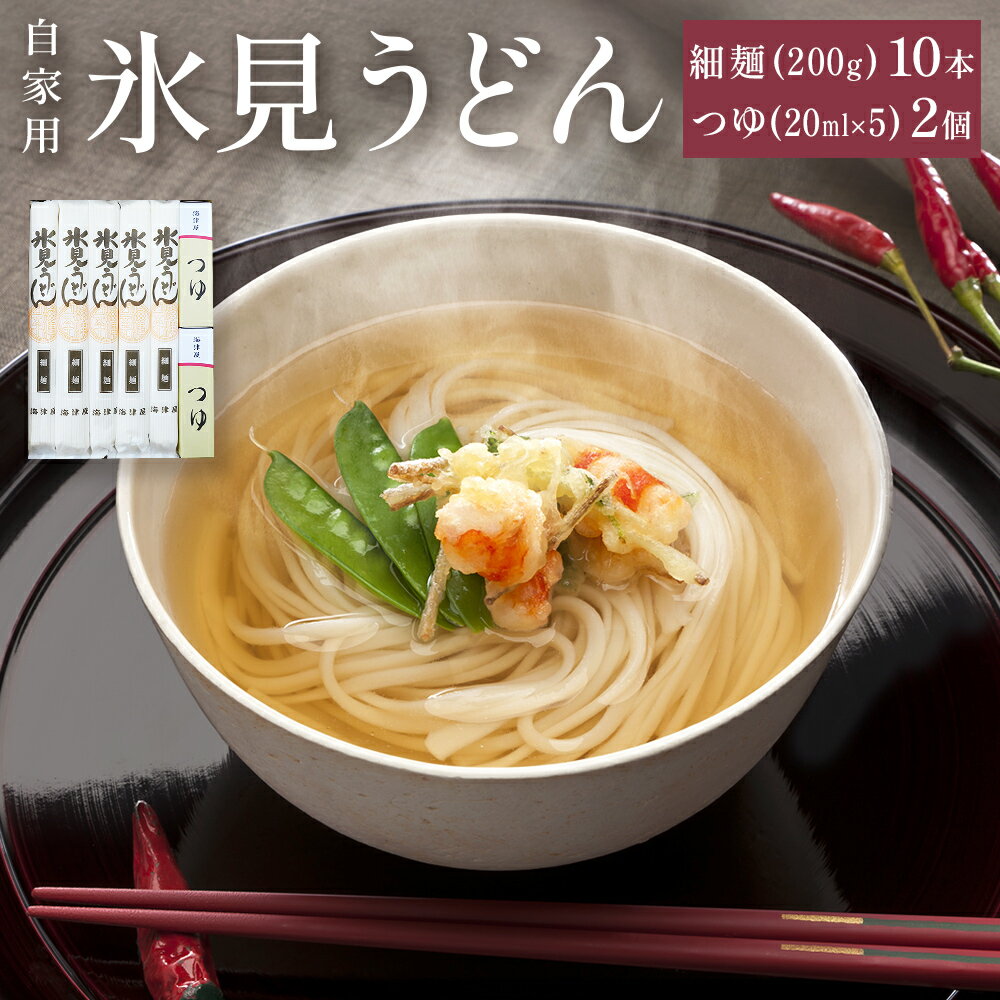 【ふるさと納税】海津屋　氷見うどん細麺10本・つゆ5袋×2（自家用）簡易箱 富山県 氷見市 乾麺 うどん