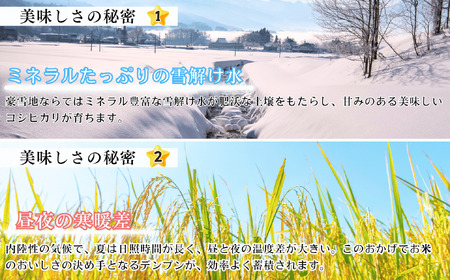 【先行予約】【定期便】[令和７年産 新米]  奥信濃飯山～木内ファームのお米～ コシヒカリ 精米 10kg×3回(7-16A)