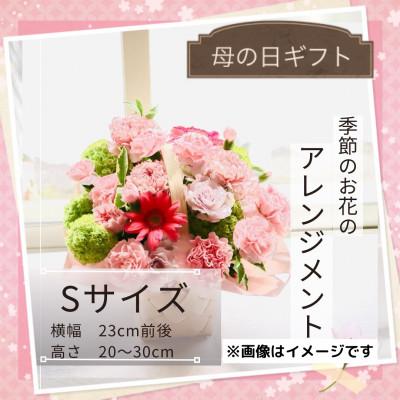 ふるさと納税 筑西市 【母の日】季節のお花のアレンジメントSサイズ〜花瓶不要!届いてそのまま飾れるフラワーアレンジ