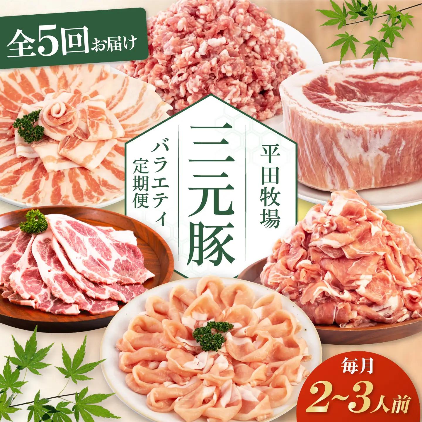 【全5回】 バラエティ定期便 2-3人前 豚肉 定期便 AJAP126