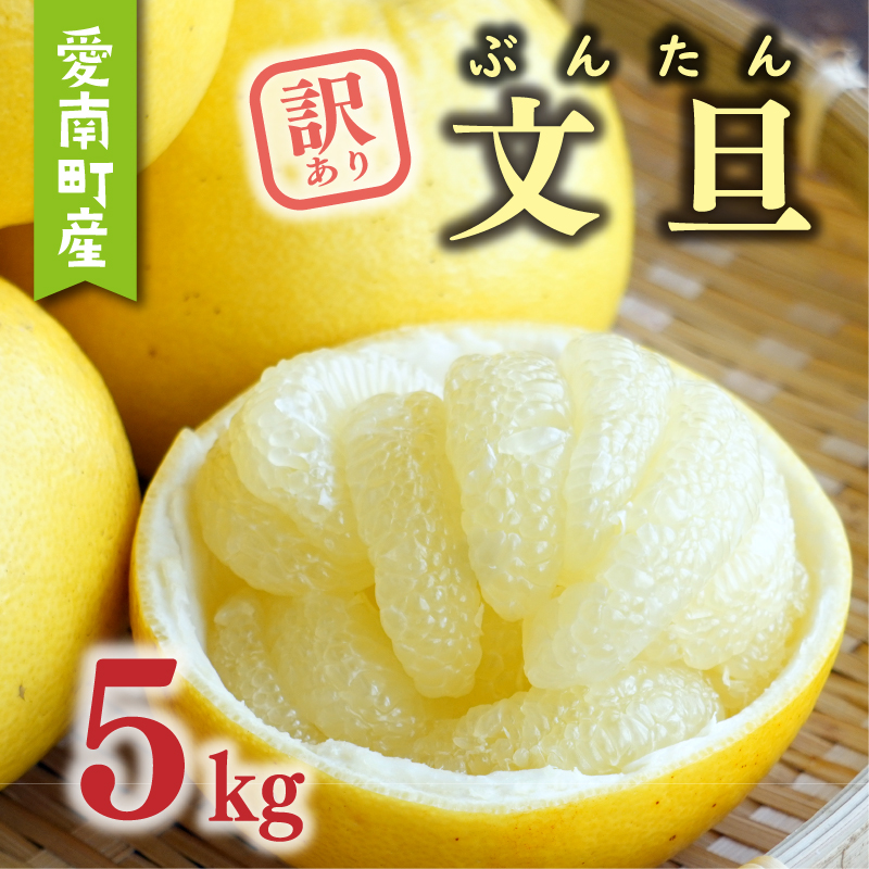数量限定 先行予約 訳あり 文旦 5kg 7000円 わけあり ぶんたん みかん mikan 蜜柑 ミカン 産地直送 国産 農家直送 期間限定 特産品 ゼリー ジュース アイス 等に 人気 限定 甘い 果実 果肉 フルーツ 果物 柑橘 おいしい 美味しい ジューシー サイズ ミックス あいなんマザーズ 愛南町 愛媛県
