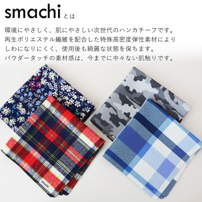 smachi(スマチ) ノンアイロンハンカチ メンズ 2枚 Bセット【VB01442】