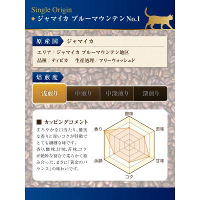 ふるさと納税 藤沢市 世界三大コーヒー飲み比べセット(豆) |  | 01