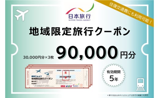 愛知県南知多町 日本旅行 地域限定 旅行クーポン 90,000円分 旅行 旅行券 観光 レジャー 宿泊 アウトドア 温泉 リフレッシュ 家族 友人 カップル 愛知 南知多
