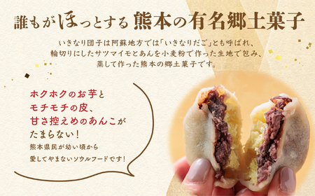 熊本郷土菓子 いきなりだんご 20個
