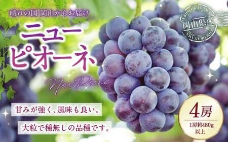 岡山県産 ニューピオーネ 4房 （1房480g以上） 約2kg 【2026年8月下旬-10月上旬迄発送予定】 ／ 葡萄 ぶどう 果物 果実 フルーツ 種なし 岡山県 美咲町 冷蔵