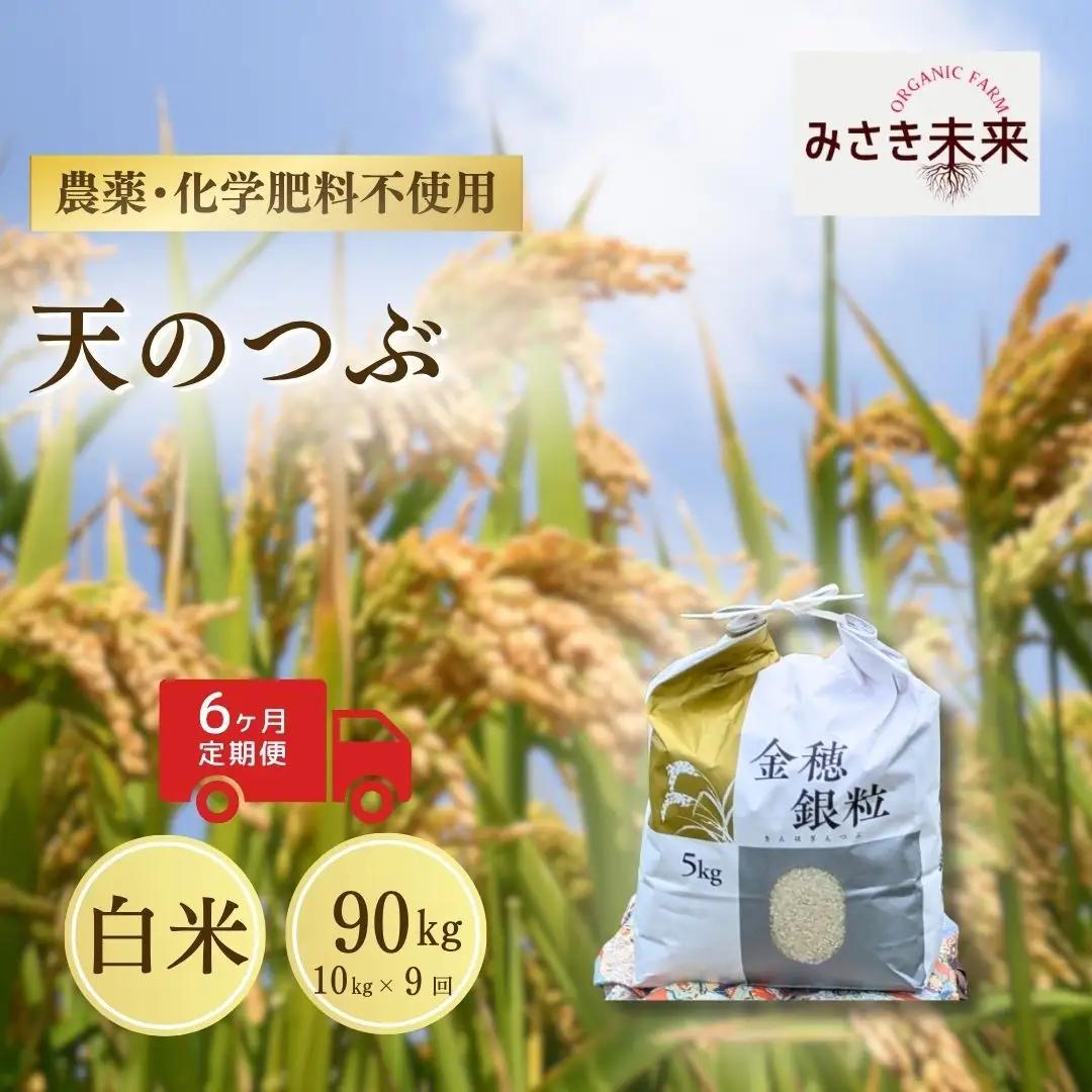 【先行予約】【9か月定期便】天のつぶ 白米 90kg (10kg×9回) 令和8年産 | 無農薬 農薬不使用 化学肥料不使用 精米 お米 米 こめ コメ 福島産 福島県産 南相馬 みさき未来 天のつぶ