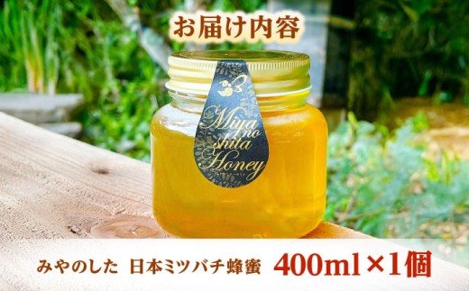 はちみつ 希少な天然日本ミツバチの「はちみつ」 400ml×1個 蜂蜜 国産 日本蜜蜂 ニホンミツバチ 天然 100% 400ml 1個 1本 瓶詰め 生はちみつ 非加熱 完熟 お取り寄せグルメ ご当