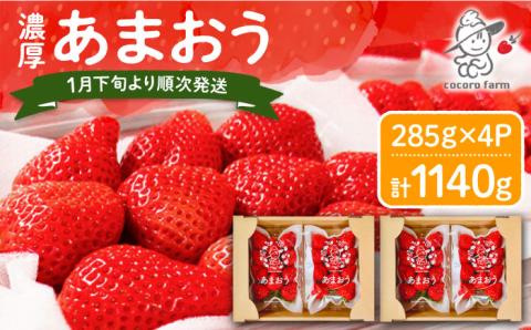 【2025年1月下旬～3月下旬発送】ココロファーム の 濃厚あまおう 285g × 4P 約1,140g [先行予約] 《豊前市》[VAE022] ※北海道・沖縄・離島 配送不可