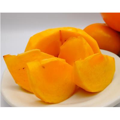 ふるさと納税 橋本市 【先行受付　2026年秋順次発送】秋の味覚のたねなし柿(3Lサイズ　10〜12個) |  | 02