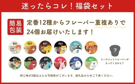 【福袋】951アイスクリーム　24個セット｜スイーツ 北海道 札幌市