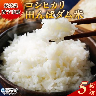 ふるさと納税 西予市 新米&lt;令和7年産 愛媛県西予市産 コシヒカリ 田んぼダム米 5kg選べる 5キロ こしひかり