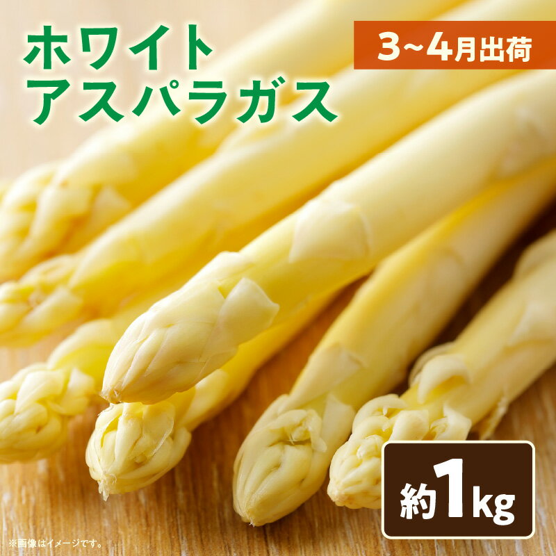 【ふるさと納税】072　ホワイトアスパラガス約1kg（3～4月出荷） アスパラ アスパラガス ホワイトアスパラガス 新鮮 素材の味 春野菜 直送 香川県 三木町