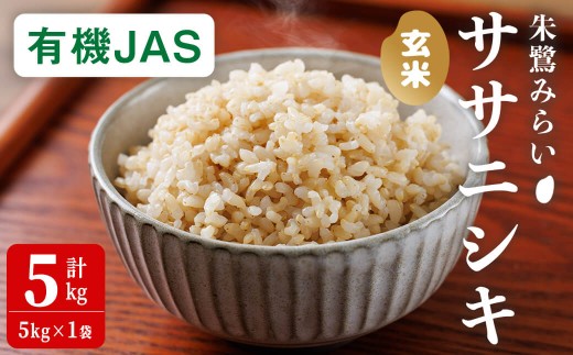 ＜有機JAS＞ササニシキ 玄米 5kg(5kg×1袋) 朱鷺みらい 玄米 有機栽培 登米市産 お米 おこめ 米 コメ 白米 ご飯 ごはん おにぎり お弁当 ささにしき 【オーガニックとめネットワーク】tm592