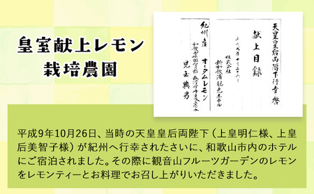 ノーワックス レモン 檸檬 観音山レモン特選18玉 有限会社柑香園【先行予約】《2025年10月中旬-2026年3月末頃出荷》和歌山県 紀の川市 フルーツ 果物 柑橘 檸檬 レモン
