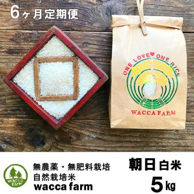 ふるさと納税 瀬戸内市 定期便6ヶ月 瀬戸内自然栽培米 令和8年産「朝日」白米 5kg  [57351418]