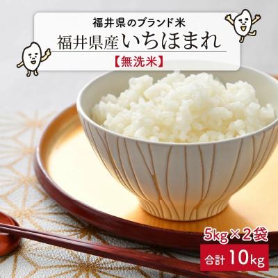 ふるさと納税 坂井市 【令和7年産】福井県のブランド米いちほまれ 無洗米10kg (5kg×2袋)[D-6105]