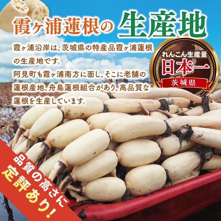 【特選】ふなしま蓮根（4kg箱）3～6本｜レシピ 高品質 幻の蓮根 老舗 希少品種 柔らかい (82-01-1)