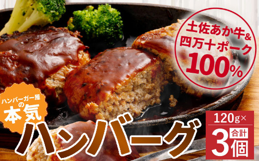 
ハンバーガー屋の本気ハンバーグ360ｇ（120ｇ×3個） ＜ 国産 高知県産 牛肉 豚肉 ブランド肉 希少 土佐あかうし 四万十ポーク ＞
