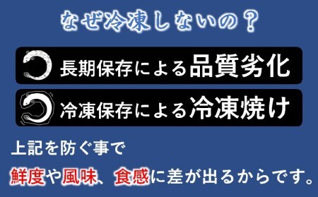 【土用の丑の日】明治27年創業 炭火焼一筋『うなぎの入船』かば焼2尾【国産うなぎ】（熟成たれ付）＜2-29＞