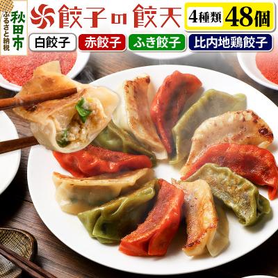 ふるさと納税 秋田市 【4種餃子48個詰合せ】餃子の餃天|15_ggt-024801