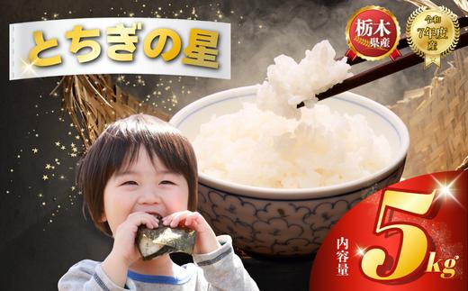 とちぎの星 5kg | 米 こめ コメ kome 白米 精米 お米 とちぎのほし トチギノホシ ﾄﾁｷﾞﾉﾎｼ 粘り 弾力 冷めても美味しい 丼もの カレー 栃木米 令和7年度米 令和7年度 2025年度米 2025年度 ブランド米 栃木県 特産品 送料無料 【栃木県共通返礼品】 栃木県 下野市 しもつけ市
