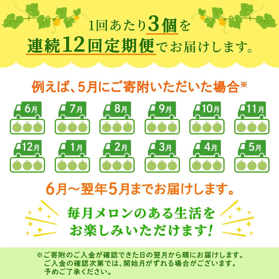 【定期便】 赤肉アールスメロン 3玉 × 12か月連続